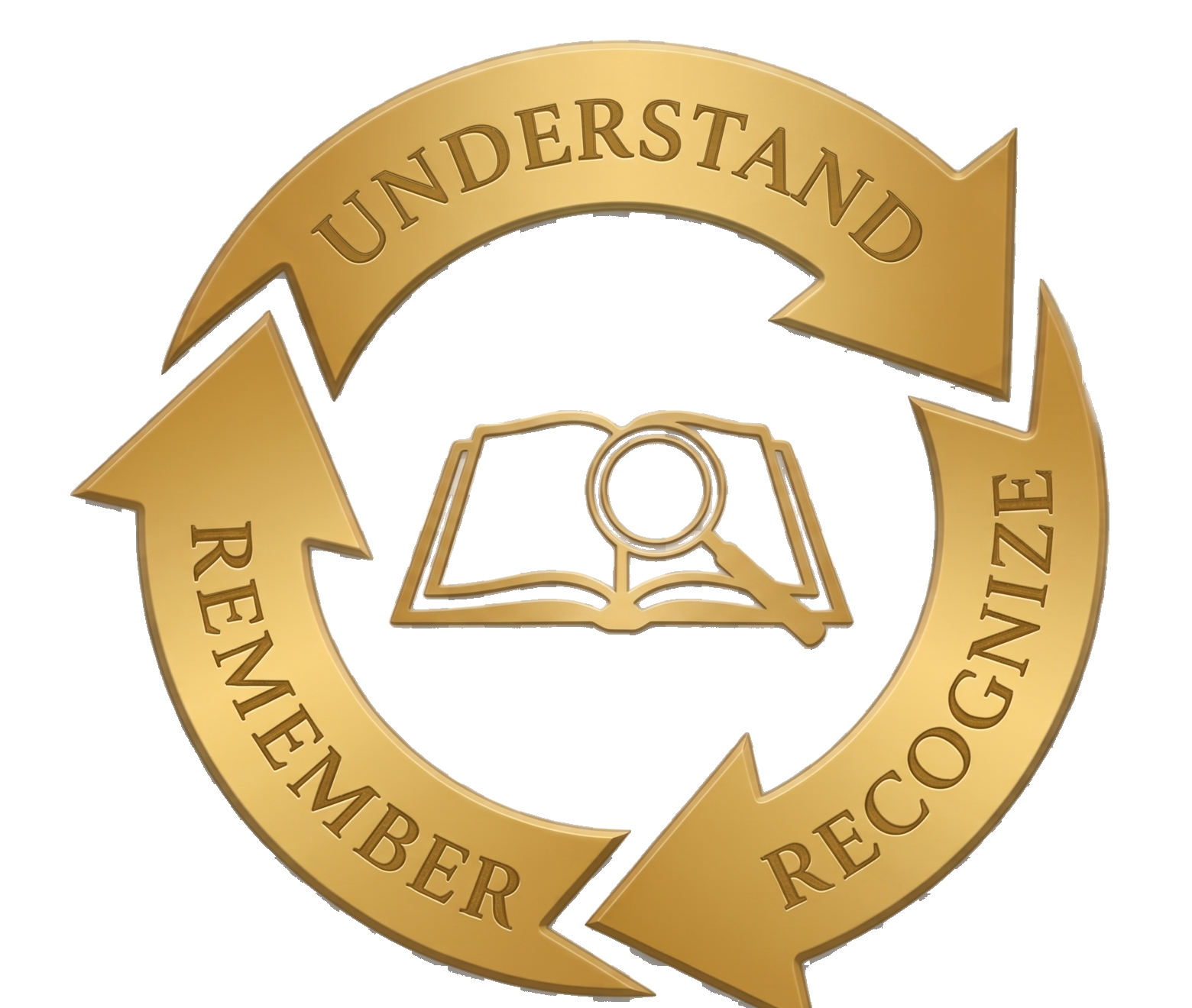 Core Legal System learning cycle